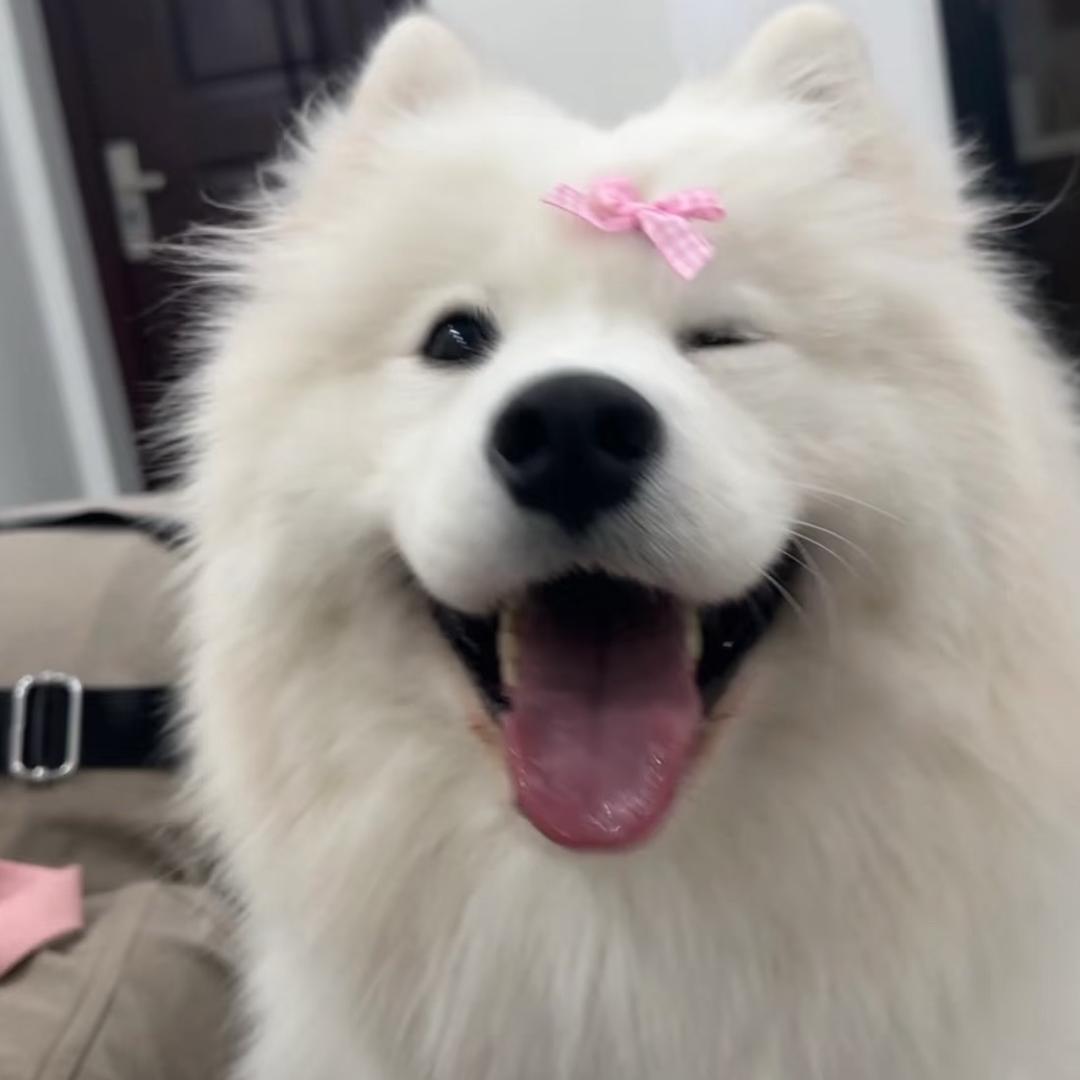小壹yi