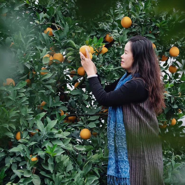 〈珍姐〉丰邦红水果店