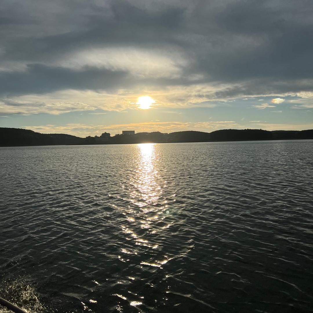 逆流的氵鱼𓆡𓆝𓆟𓆜𓆞