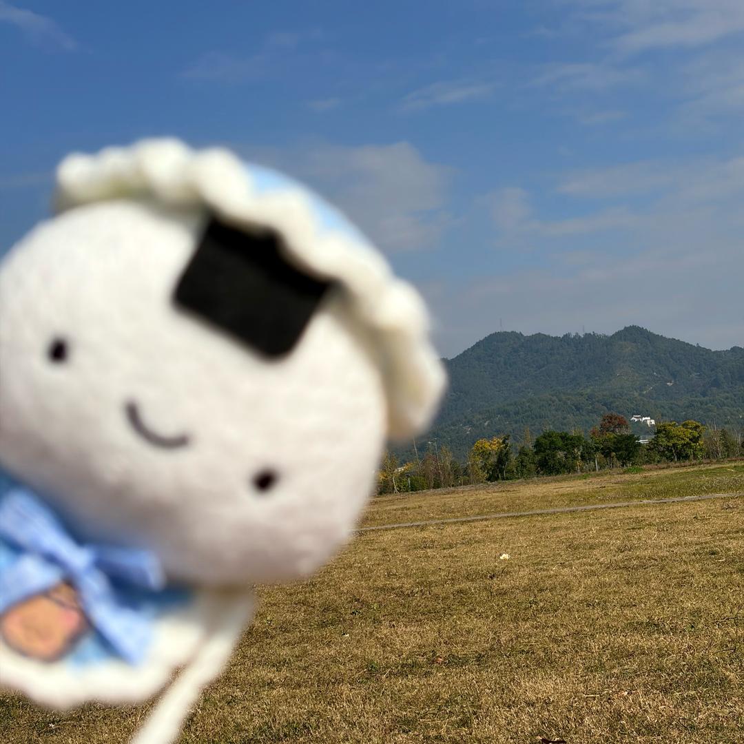 老乡猫和城市妹