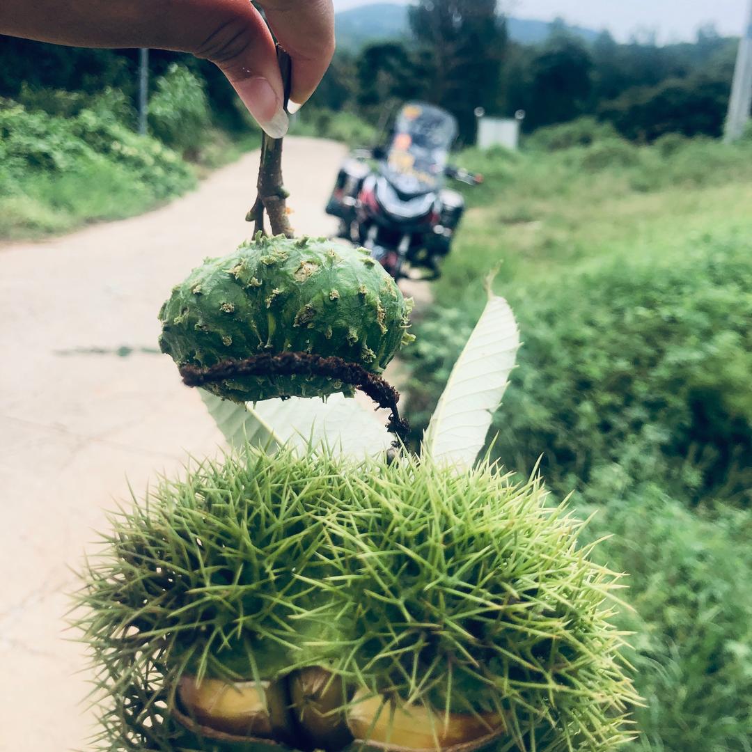 🚬莫ᝰꫛ小兮ꪝ