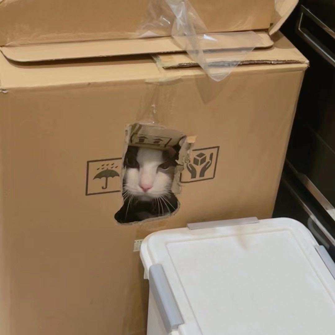 好友🥕