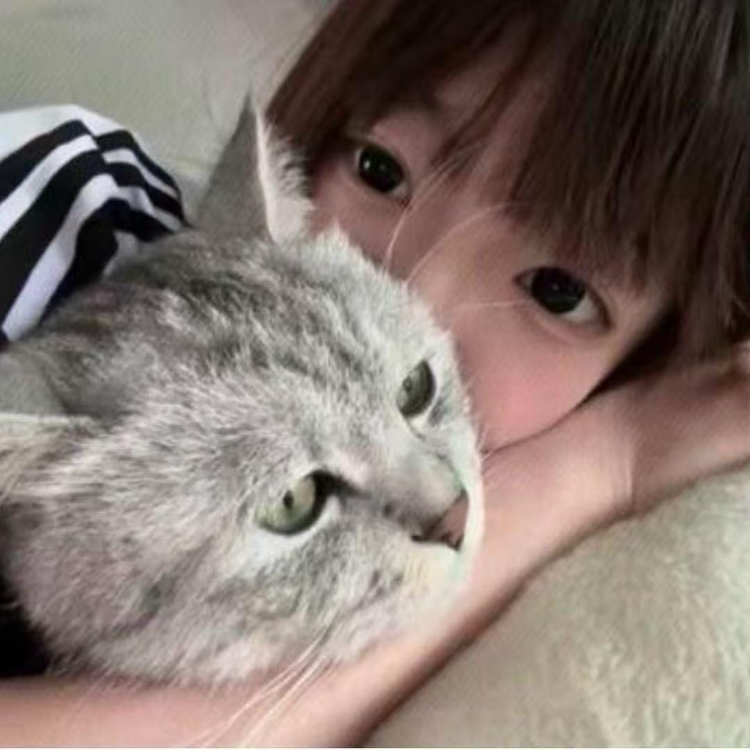 帅气洋葱
