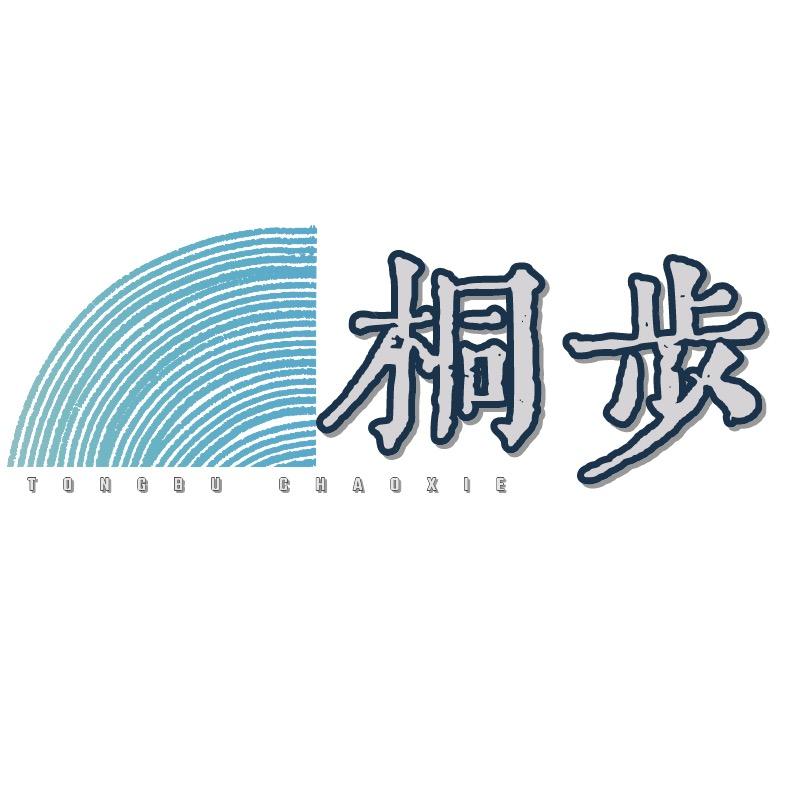 桐步潮鞋外贸工厂店（可批发)