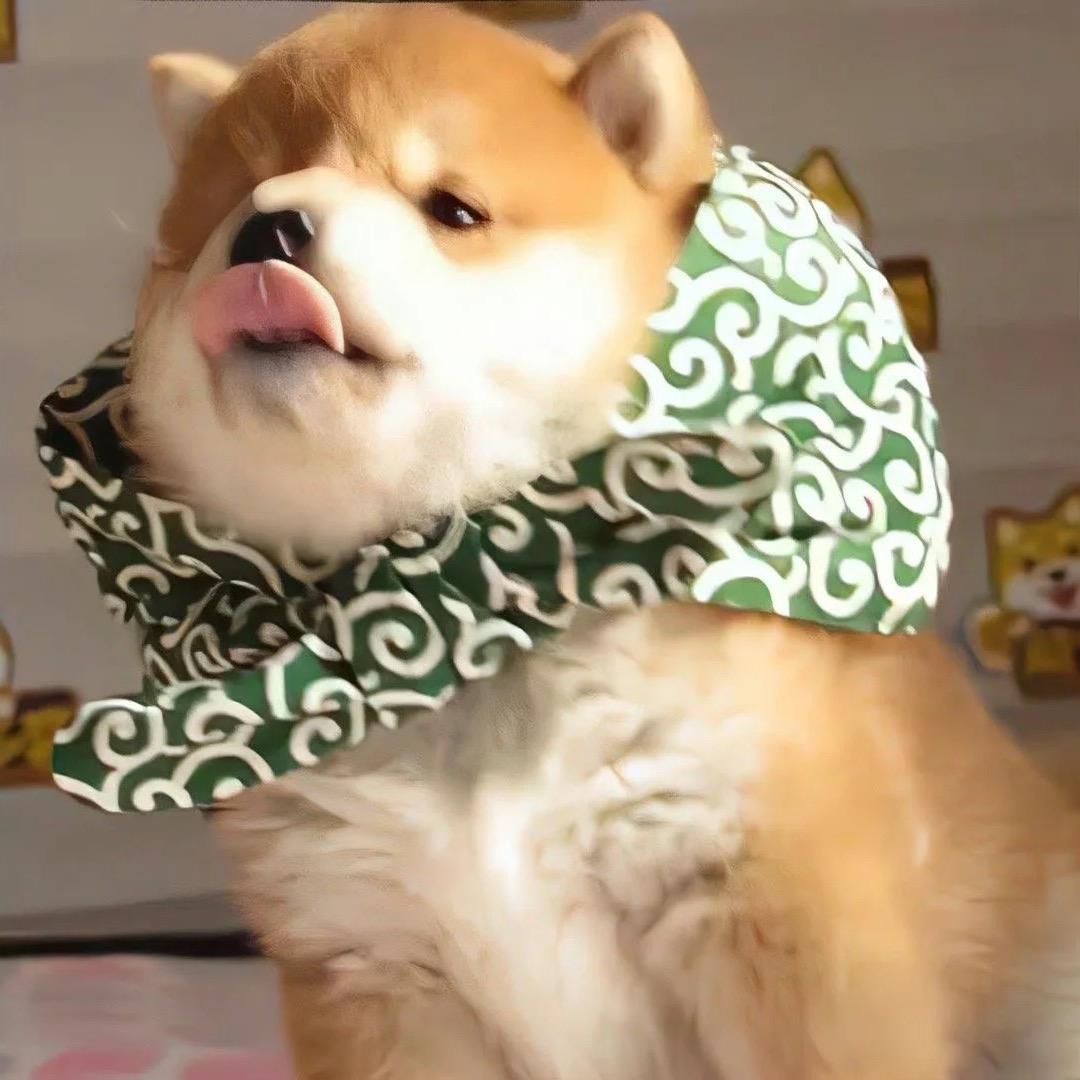 馨zzzz