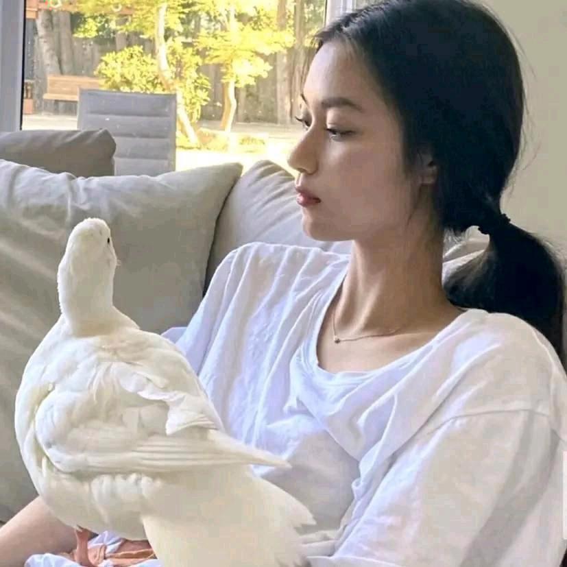 泰椰·阜草店🥥