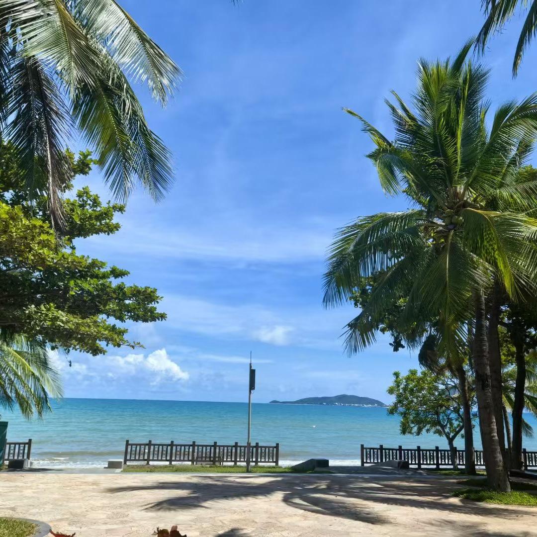 广州洧阳直播83号