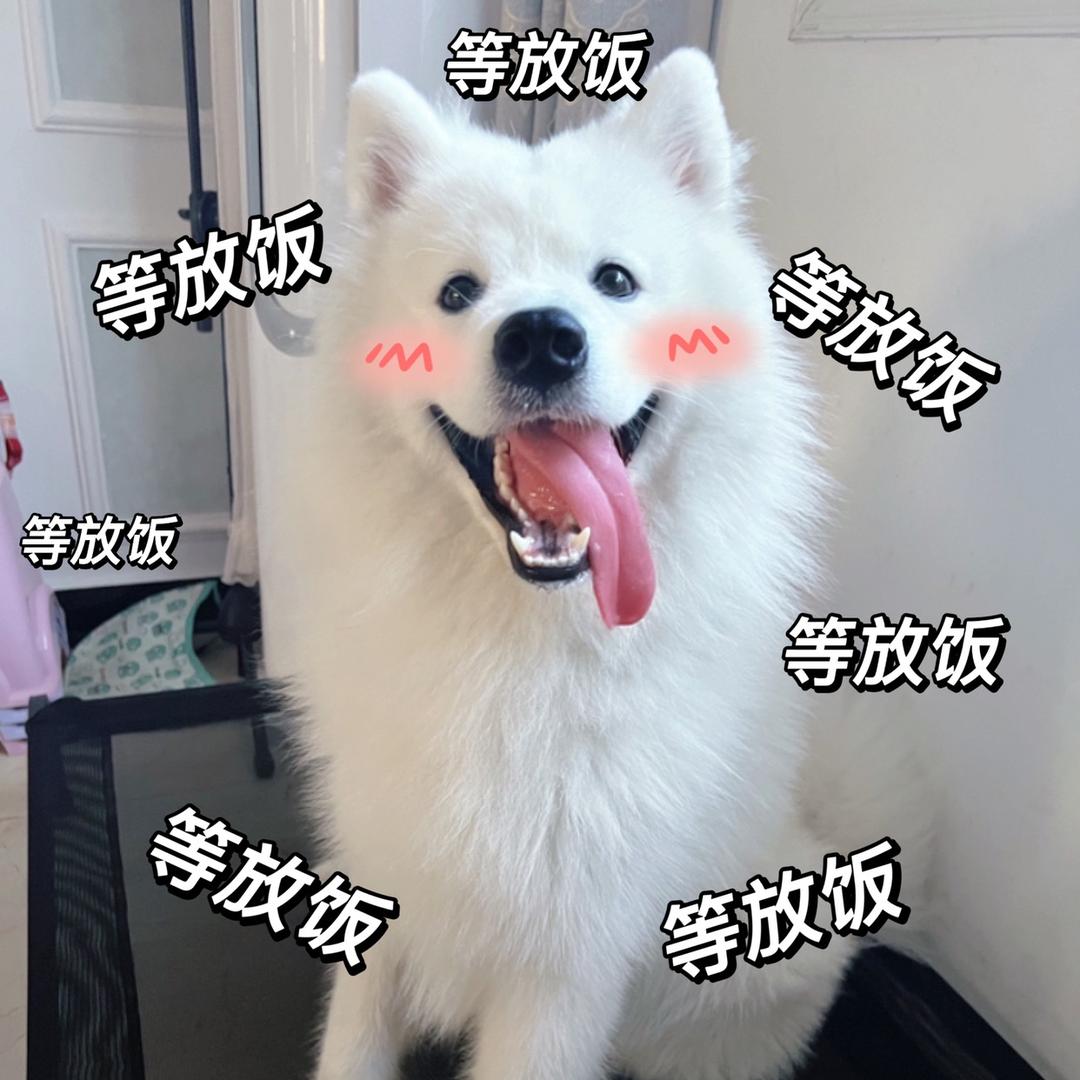皮皮爱喝酸奶🍼