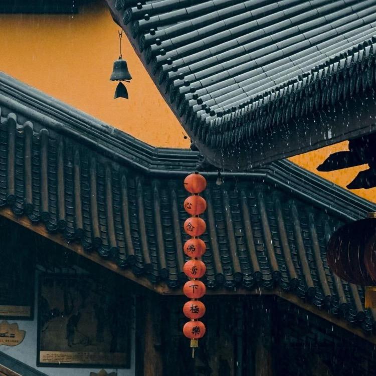 好姐姐看看