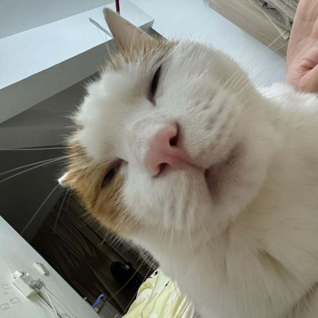 。