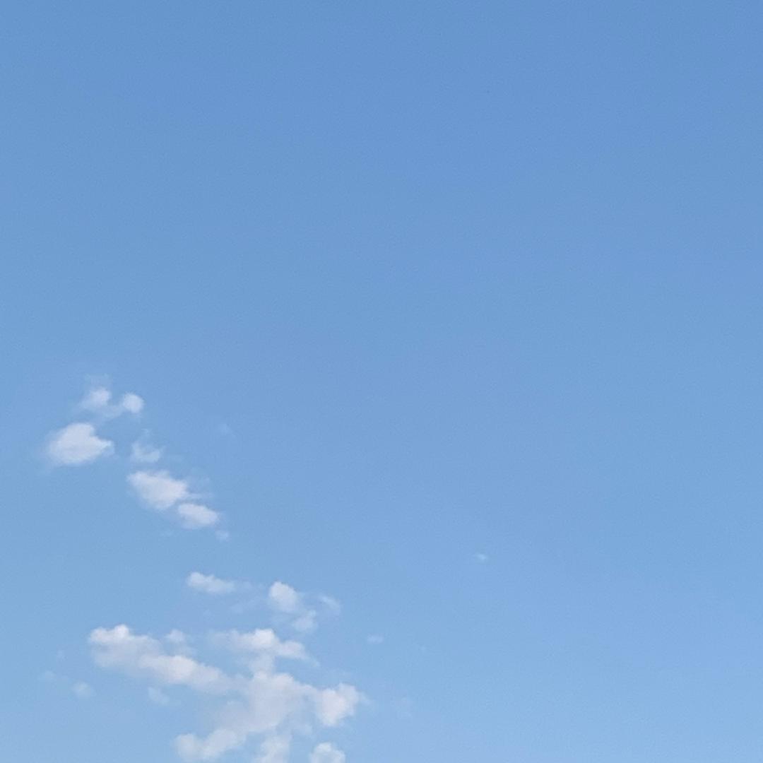 随心