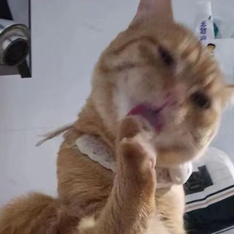 迷人的反派角色