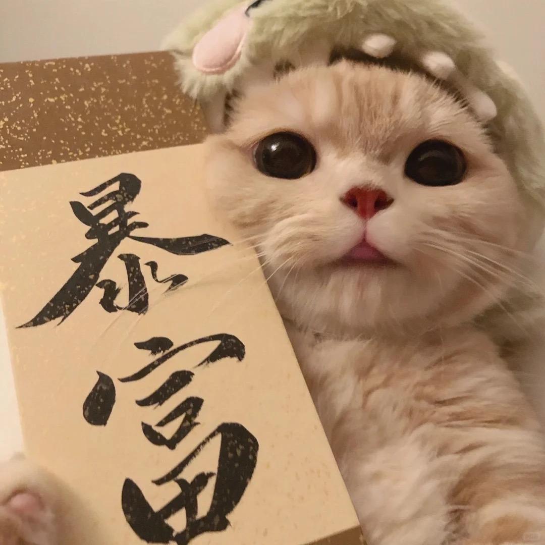 周义数码