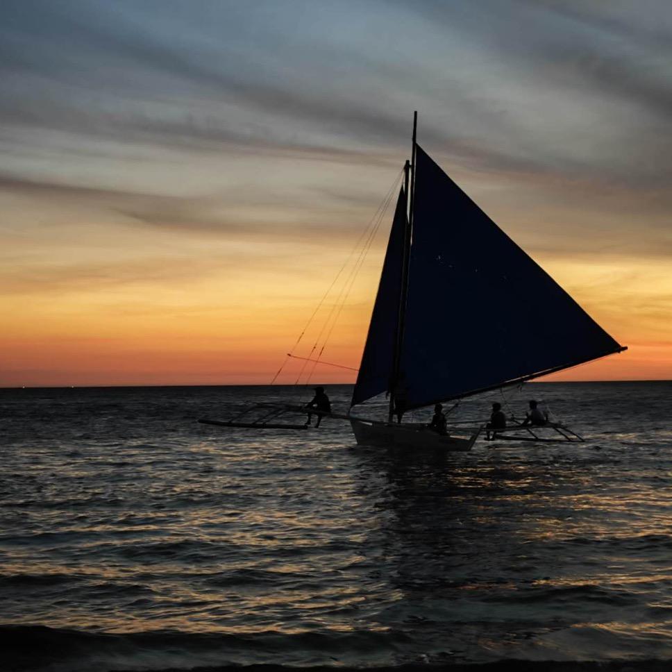 大壮_不想背单词