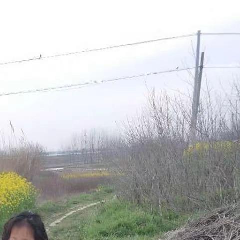 坚强的（子涵）