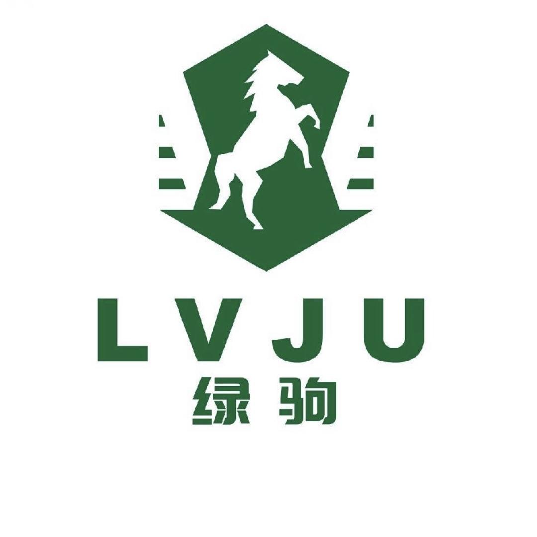 绿驹新能源二手车
