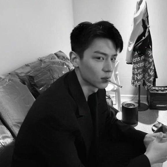 杨战