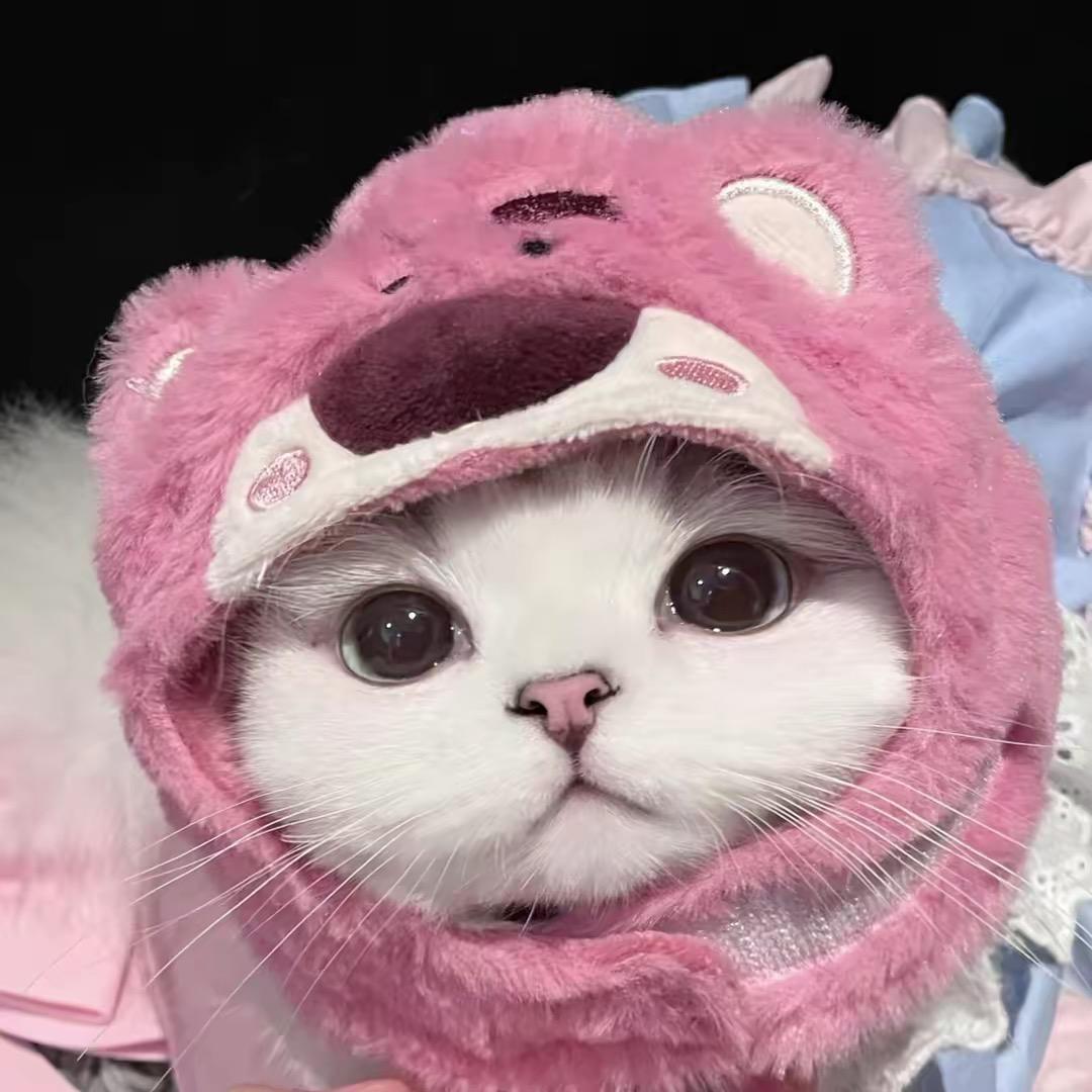 瑶子嗝屁了🧸（见过王源版）