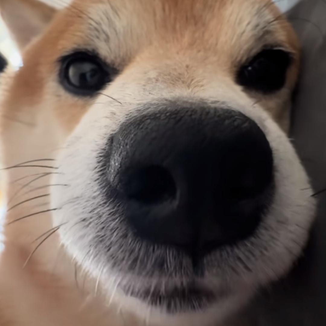 …