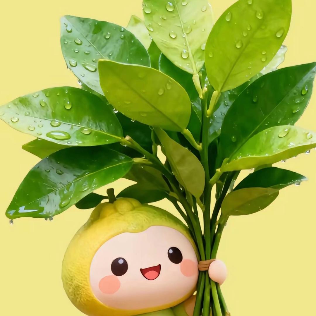 @苏 Su