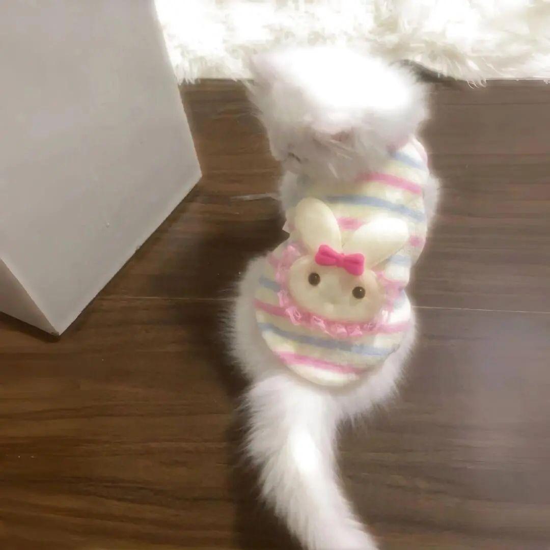 子子酱