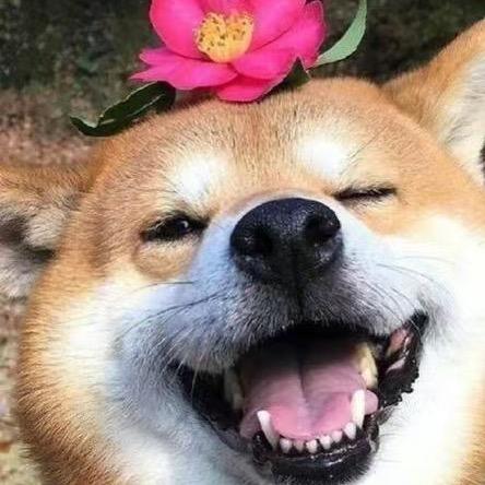 章鱼烧
