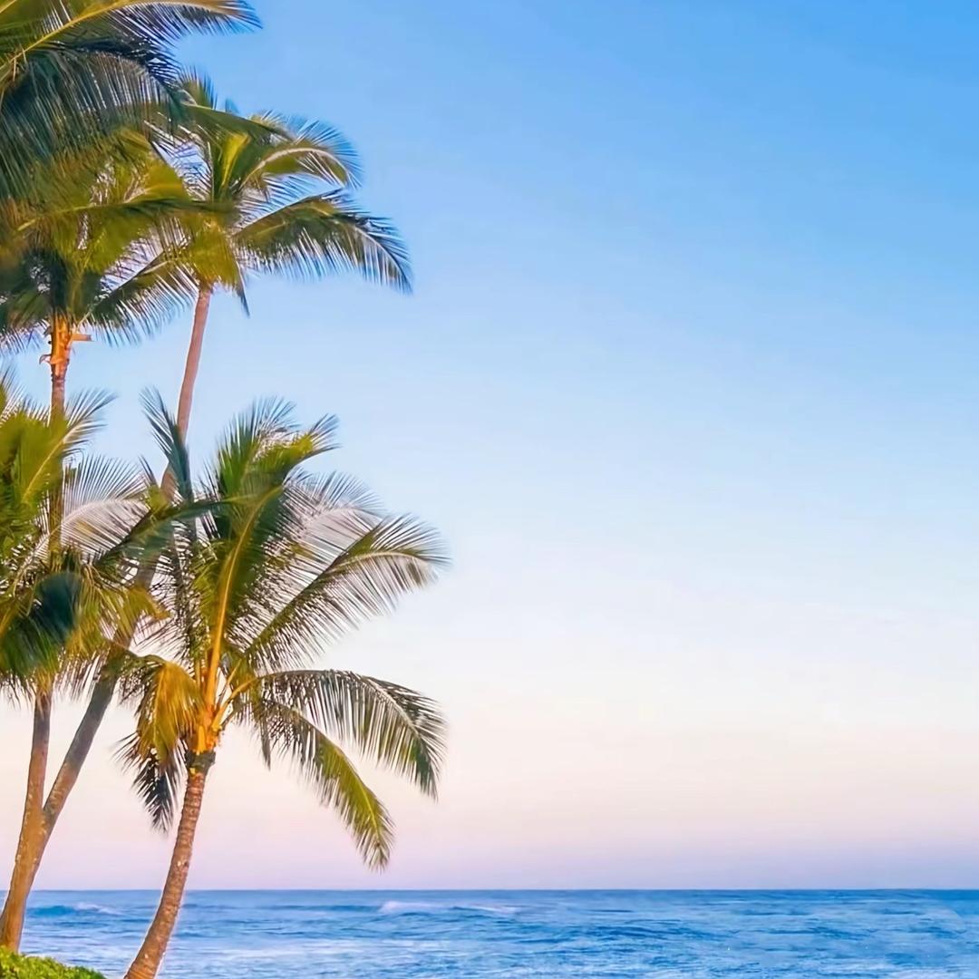 穗载丰年暖（暖贴专场）