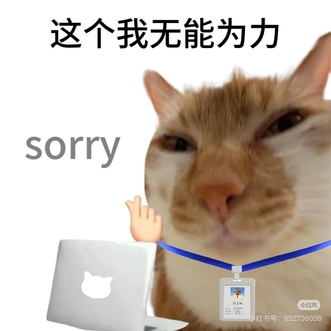 小刘哥🎓