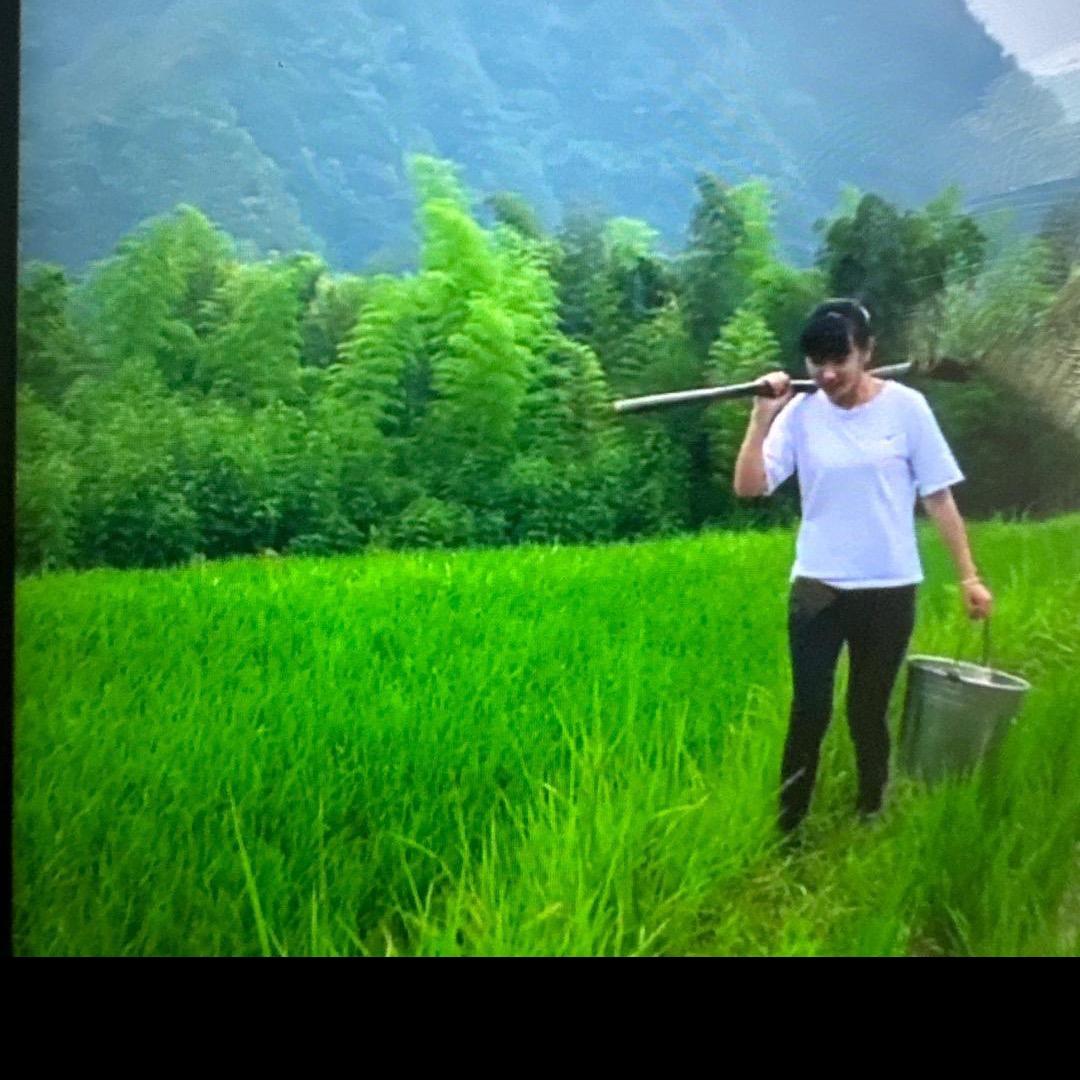 农业植保小杜