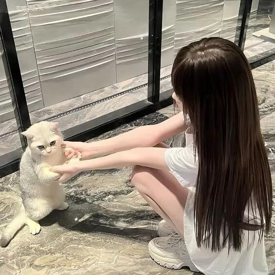 hello 小乖