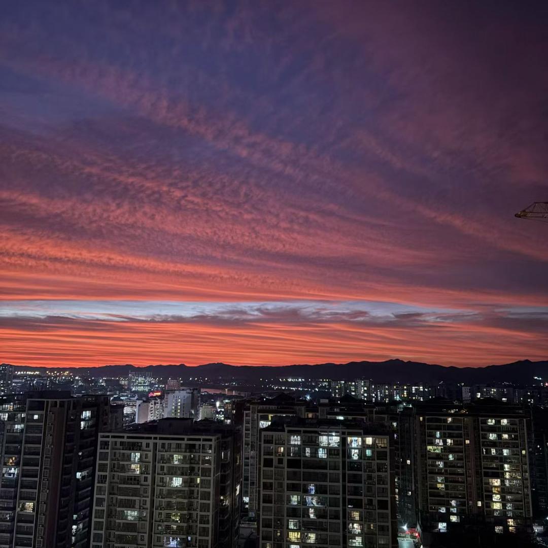 🌸别对我说谎🌸