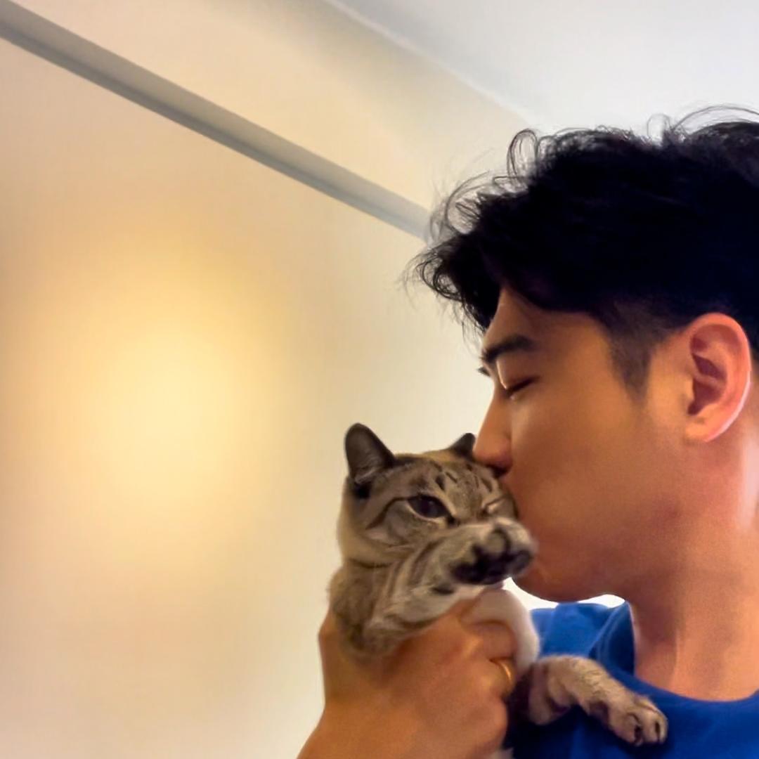 小陈和猫