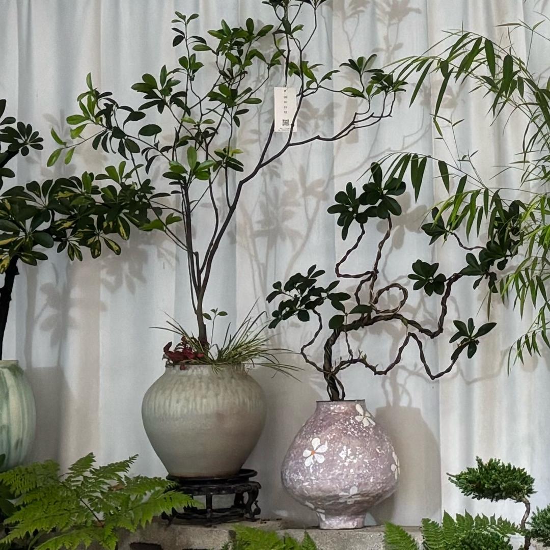 曹小芳