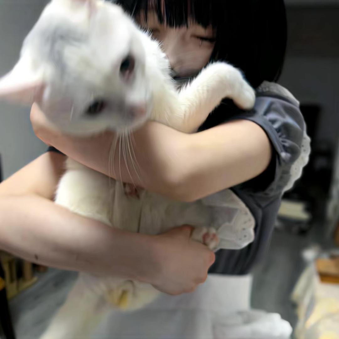荔枝枝枝枝.