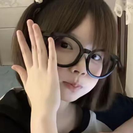 YY1337