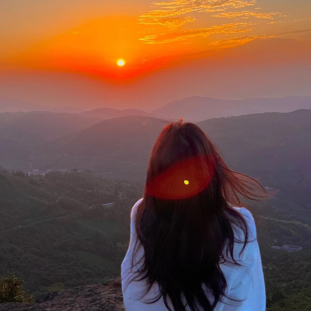 镇雄新途径小杨