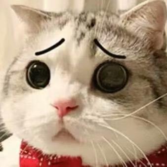 小瑶瑶