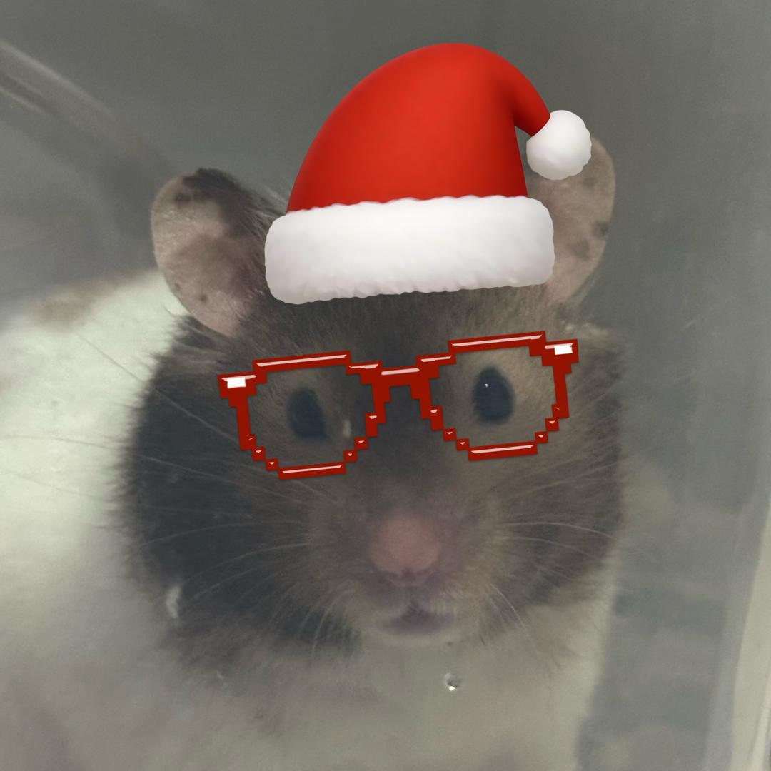 黑不拉拉狒狒🥠