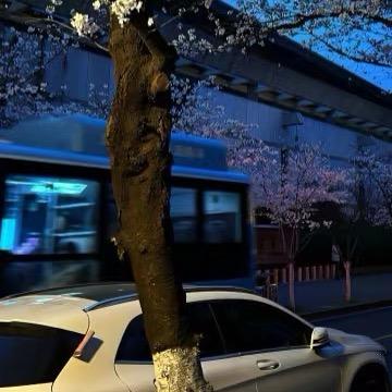 菠菜水手（考公版）