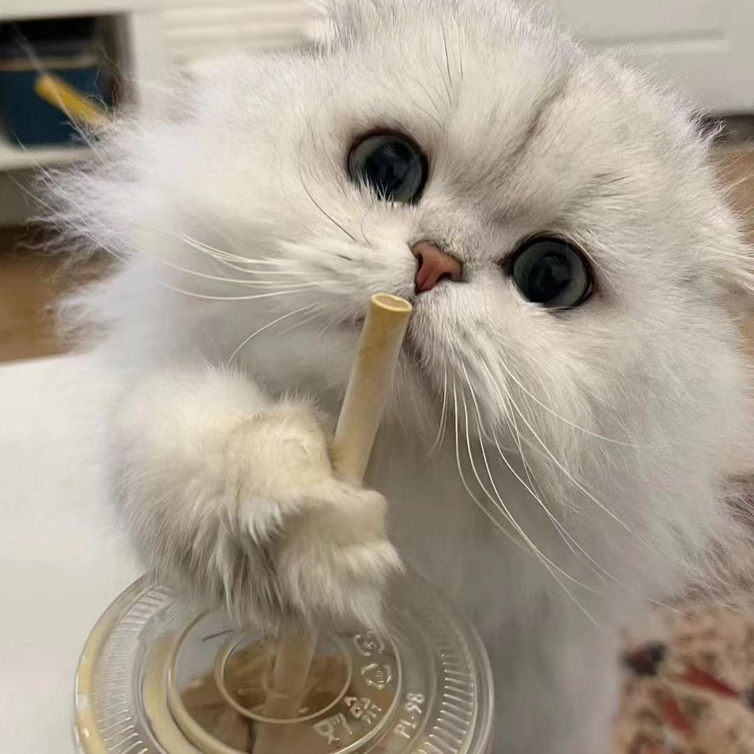 婉沁🍟