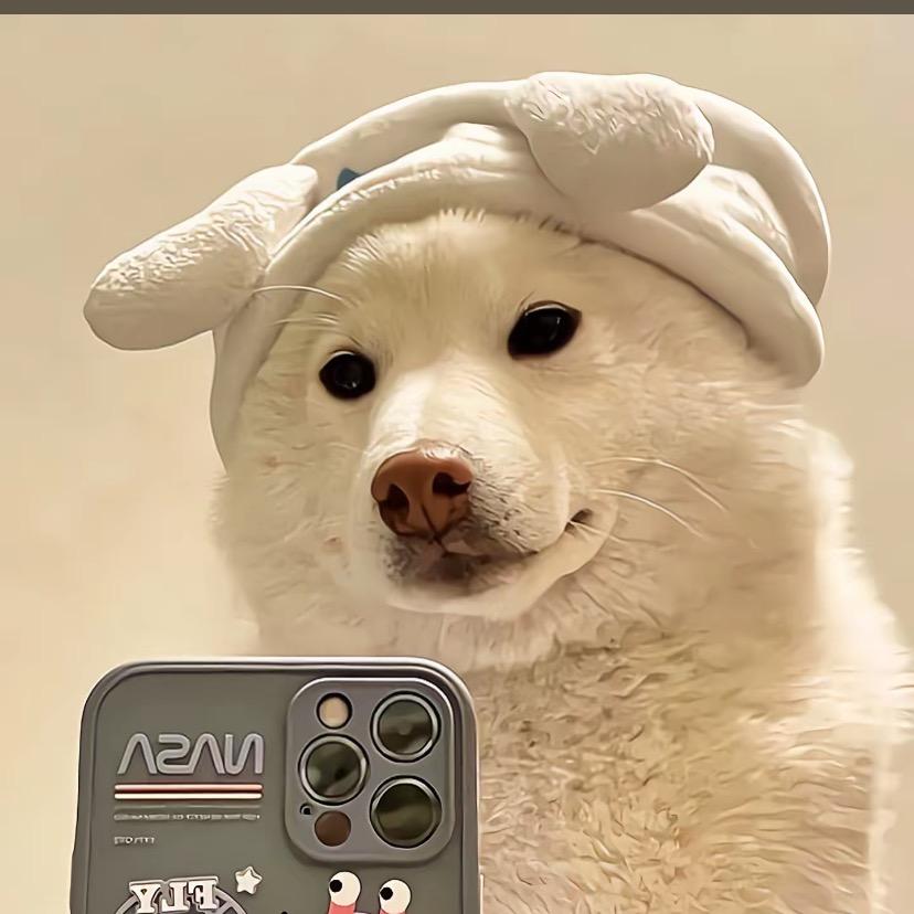 张氏家具