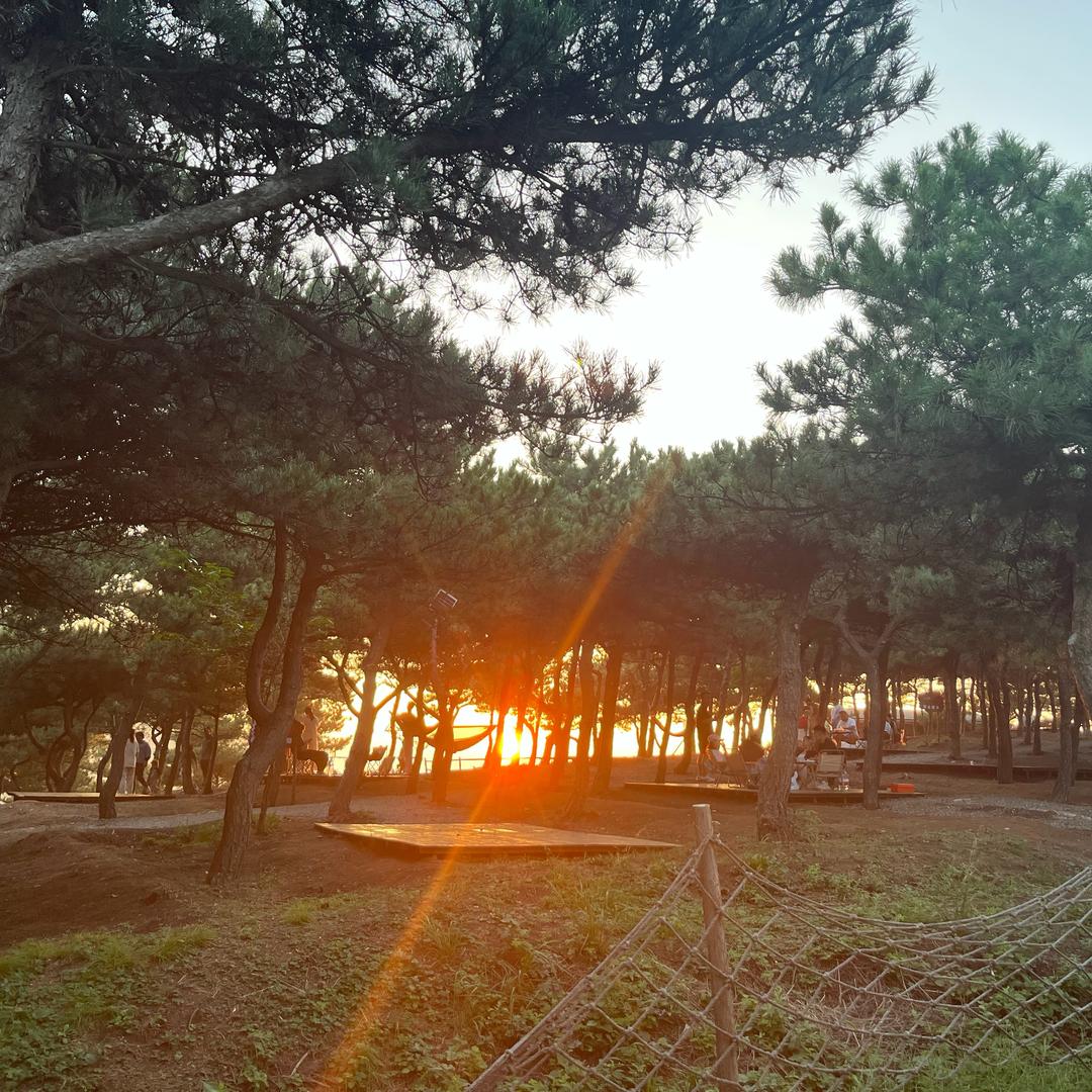 🐟江🐟孤心匠⁶¹⁸🌻