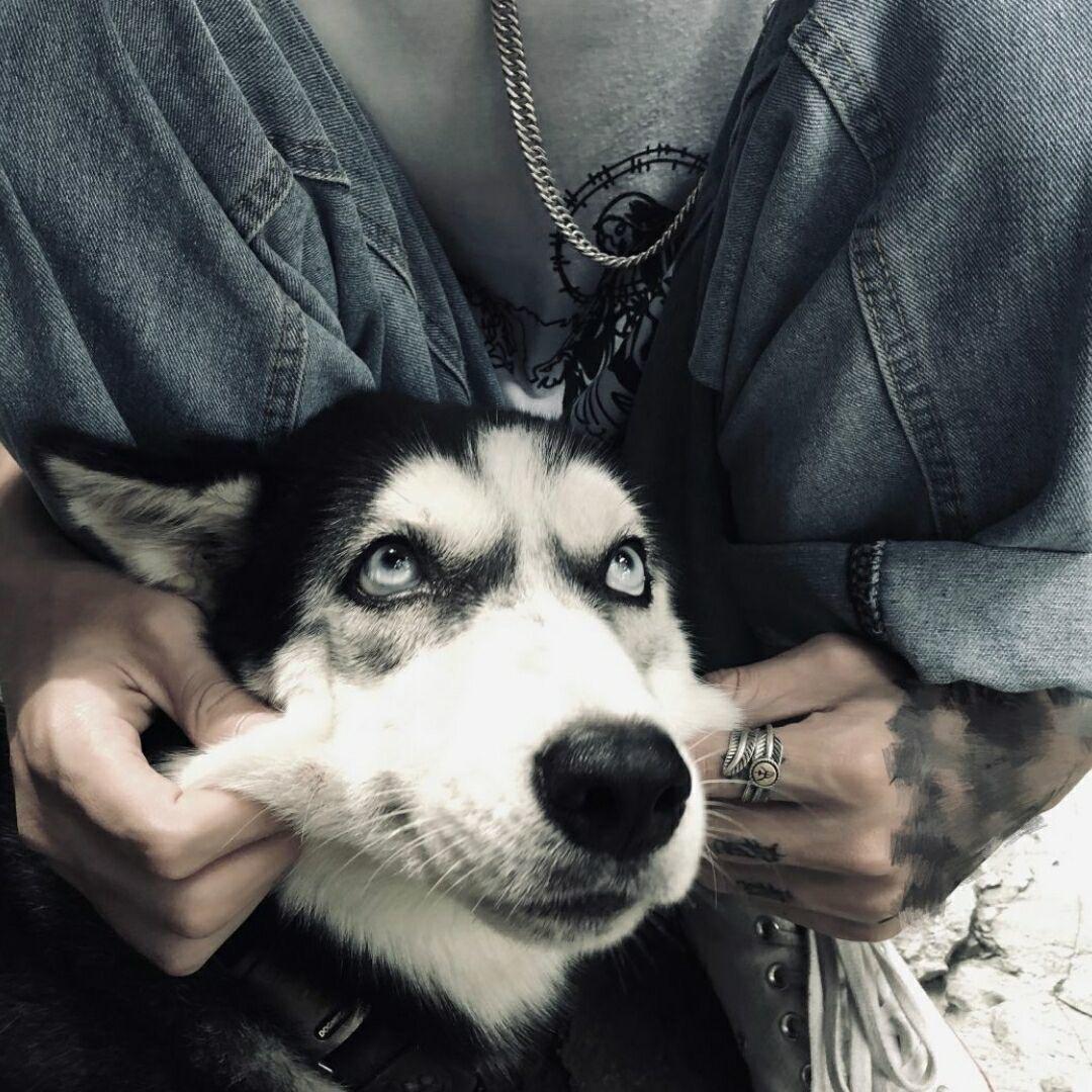 久雾