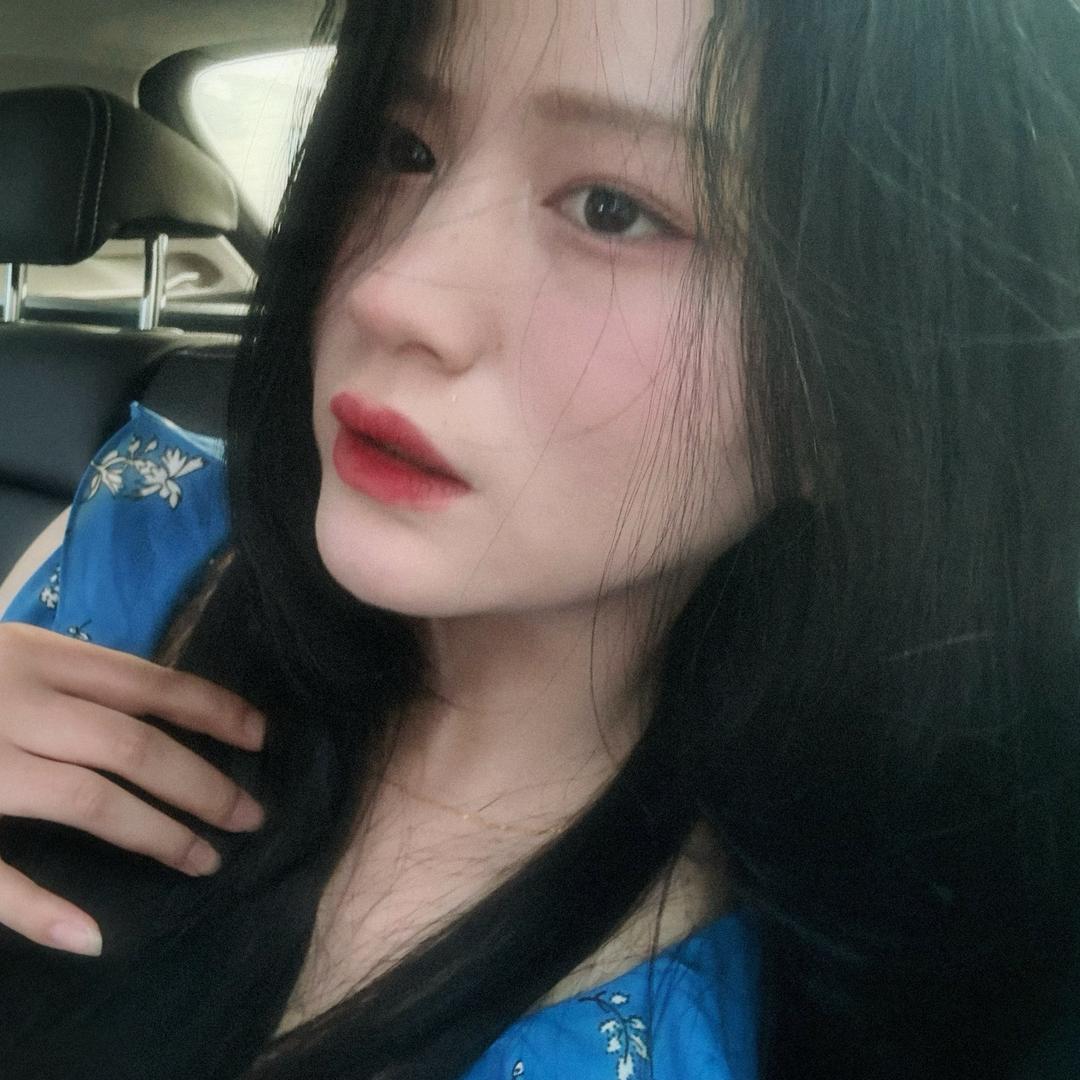鲨鱼🦷