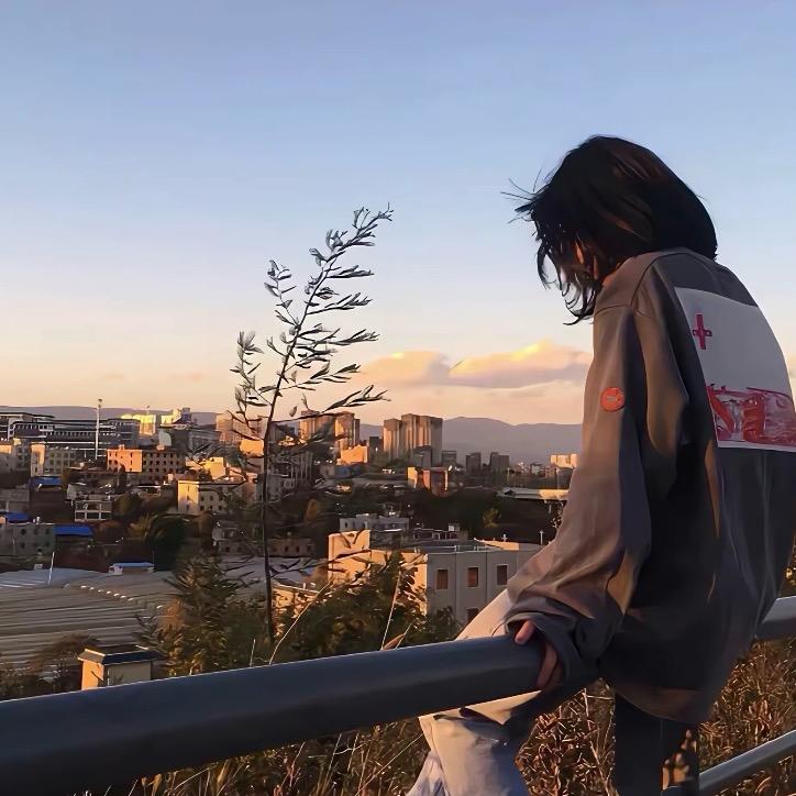 林月如