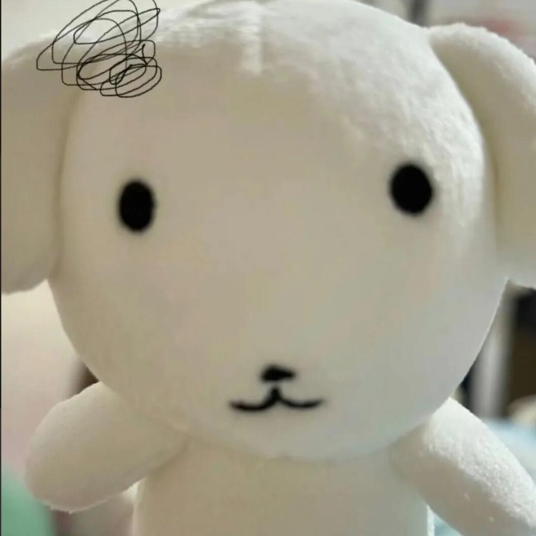 笋哩