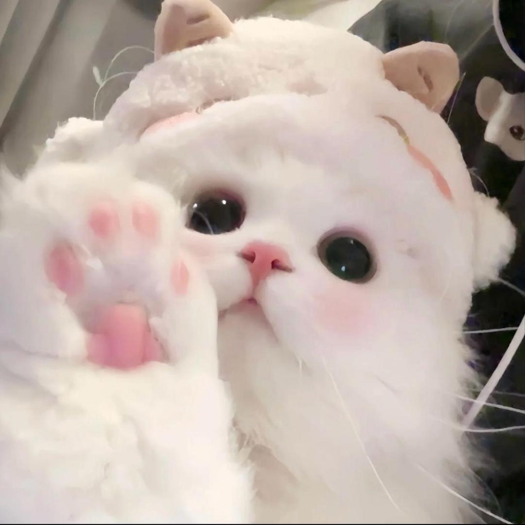 年糕。
