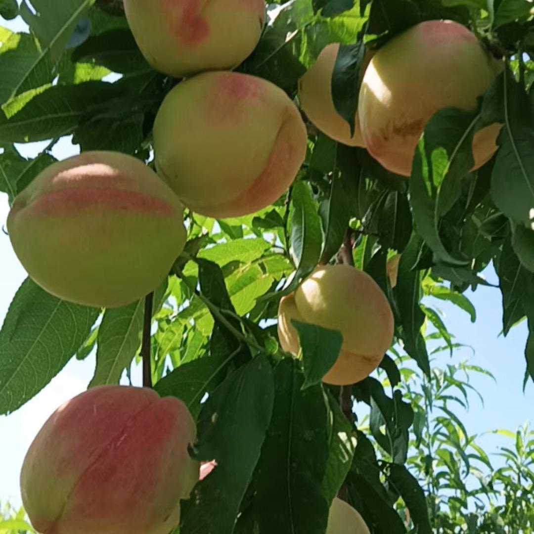 伟恒塑业
