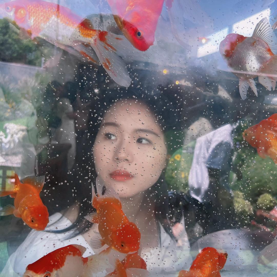 💛一只小阿慧！