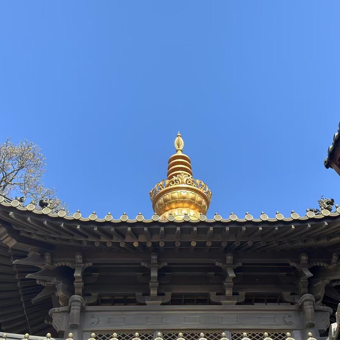 苗苗𓆡